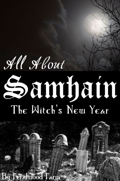 Samhain Traditions, The Wheel Of The Year, Fire Festival, First Day Of Winter, Samhain Halloween, Wheel Of The Year, All Souls, Beltane, Harvest Festival