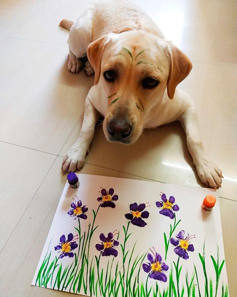 Painting With Dog, Dog Print Art Diy, Crafts To Do With Your Dog, Puppy Paw Print Art, Art Projects With Dogs, Pet Paw Paintings, Paintings To Do With Your Dog, Paw Print Painting, Dog Paw Painting Ideas