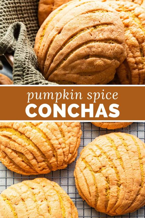 Concha Bread Recipe, Pumpkin Conchas, Authentic Concha Recipe, Conchas Recipe, Pumpkin Delight, Mexican Bread, Pumpkin Spice Recipe, Mexican Dessert, Sweet Treats Recipes