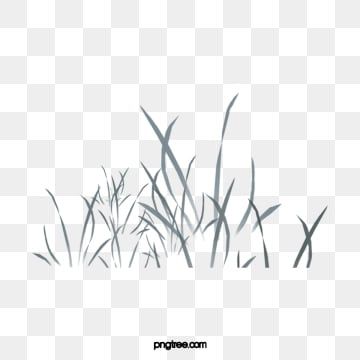 planta,grass,pasto,gruñón,vegetación,naturales Tinta China, Home Decor Decals, China, Plants, Home Decor, Home Décor