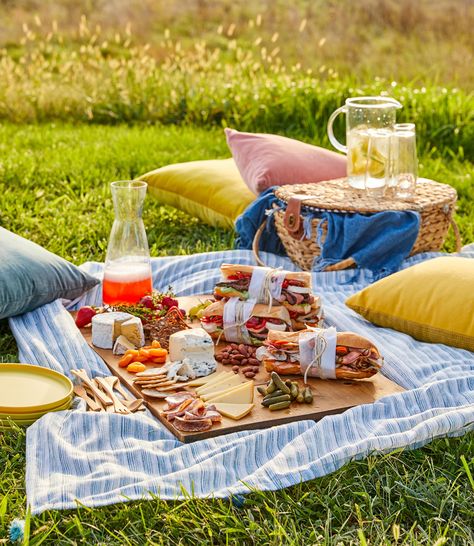 The Picnic Blankets Romantic Picnic Ideas, Romantic Picnic Food, Wine Snacks, Boiled Chicken Breast, Picnic Dinner, Romantic Picnic, Seared Chicken Breast, Easy Chicken Breast, Picnic Essentials