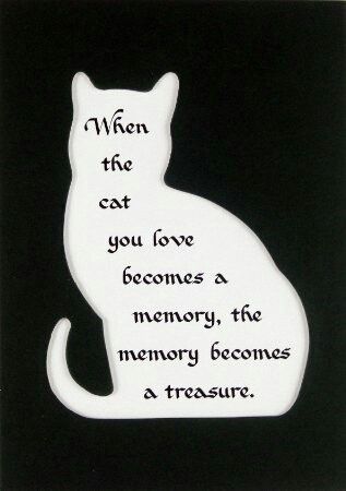 Both our cats are treasured memories :'( Tatoo 3d, Cat Poems, Pet Sympathy Cards, Cat Loss, Pet Remembrance, Image Chat, Pet Sympathy, Cat Memorial, Cat Cards