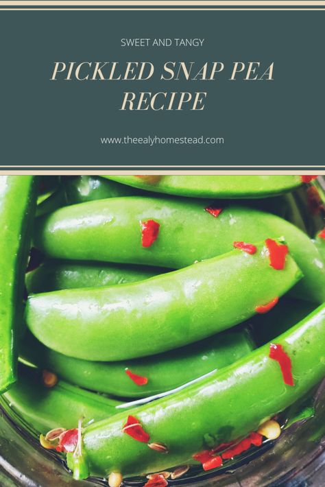 Pickled Snap Pea Recipe | The Ealy Homestead Pickled Peas Recipe, Pickled Snap Peas Recipe, Full Sour Pickle Recipe, Pickled Peas, How To Freeze Peas, Pickled Snap Peas, Snap Pea Recipe, Frozen Field Peas And Snaps Recipes, How To Cook Sugar Snap Peas