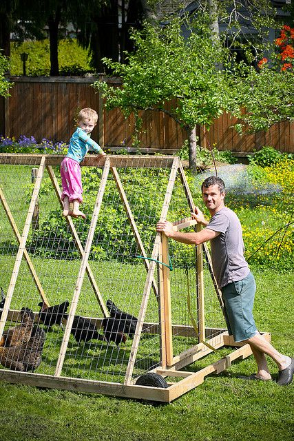 chicken tractor - wheels all around = easy to push instead of lift & pull Chicken Tractors, Chicken Coup, Chicken Tractor, Chicken Run, Vegetable Garden Planning, Chicken Coop Designs, Keeping Chickens, Building A Chicken Coop, Chicken Coop Plans