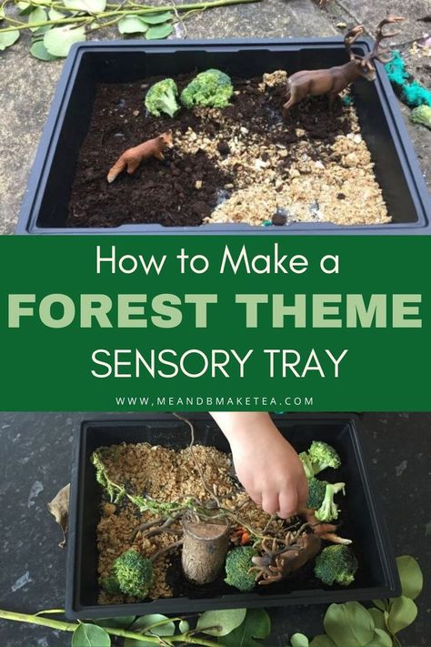 How to Make a Forest Theme Sensory Tray  -Easy to set up with minimal effort on your part! My son loved playing with this small forest themed sensory tray. Using just a seed tray, some oats and compost. Perfect for toddlers, preschoolers and even older children. Lots of ideas if you're self isolating with kids in lock down !   #sensory #lockdown #play #playideas #toddlers #preschool European Forest, Preschool Sensory, Sensory Tray, Forest School Activities, Small Forest, Sensory Ideas, Make Tea, Sensory Boxes, Teachable Moments