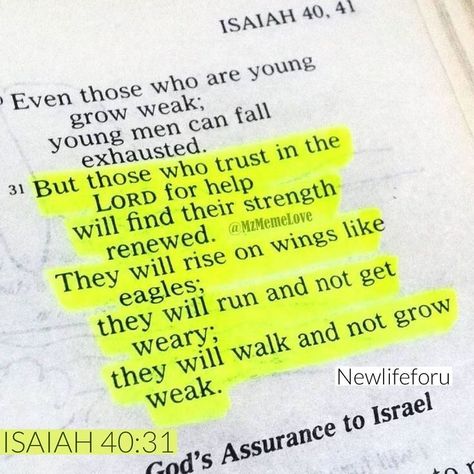 Isaiah 40 31, Bible Notes, Prayer Scriptures, Faith Prayer, Bible Prayers, My Savior, Prayer Quotes, Religious Quotes, The Promise