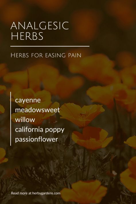 Analgesic is an herbal action term used to describe plants that help reduce pain. Some analgesic herbs reduce inflammation. Herbs For Pain And Inflammation, Natural Sedatives, Herbs For Nerve Pain, Inflammation Herbs, Herbs For Inflammation, Herbal Wellness, Sacred Herbs, Learning Herbs, Medicine Garden