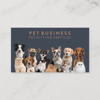 Grooming Business Cards, Dog Logos Ideas, Pet Photography Business, Critter Sitters, Boutique Business Cards, Pet Grooming Business, Grooming Business, Pet Sitting Services, Boutique Business