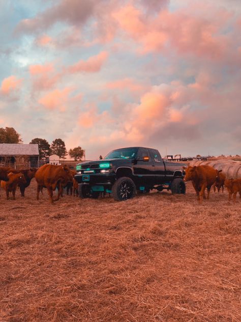 Silverado 1998, 1995 Chevy Silverado, 1997 Chevy Silverado, 1993 Chevy Silverado, 1998 Chevy Silverado, Chevy Silverado Single Cab, Silverado Single Cab, Boo Baskets, Future Trucks