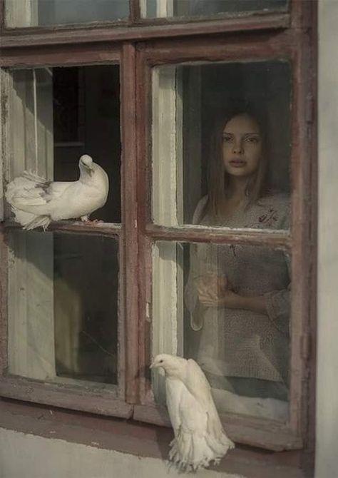 David Dubnitskiy, David D, White Birds, Looking Out The Window, Southern Gothic, Window View, Through The Window, Jolie Photo, Grimm