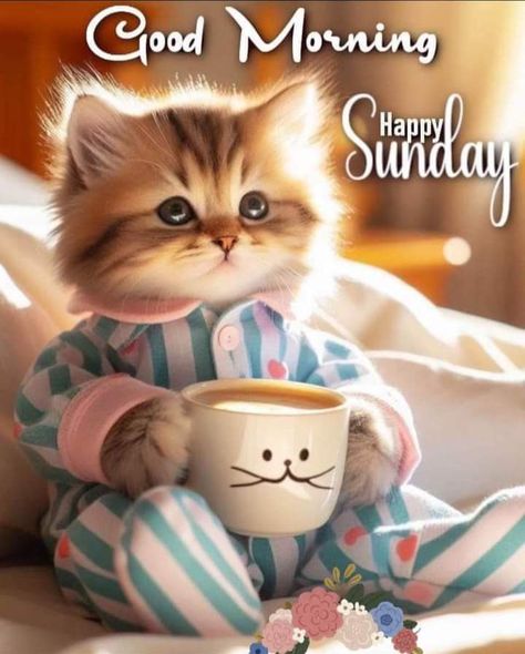 Happy Sunday Messages, Carol King, Good Morning Animals, Good Morning Cat, Good Morning Sunday Images, Collection Of Flowers, Good Sunday Morning, Love Good Morning Quotes, Good Morning Greeting Cards