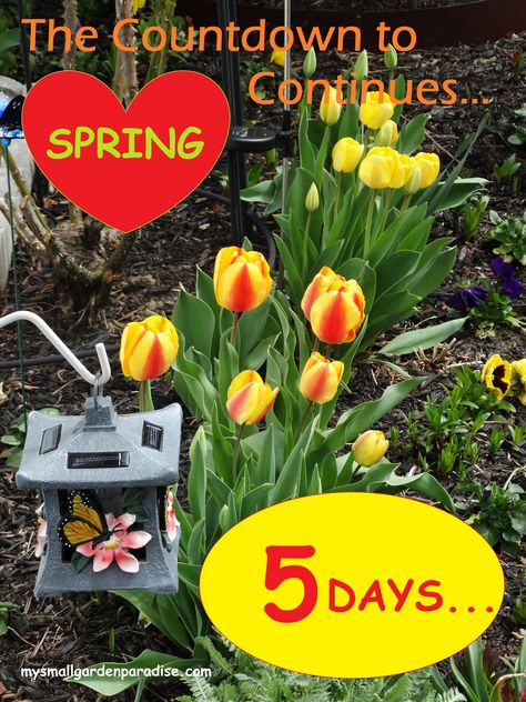 Days Till Spring, Online Cards, Small Garden, Plants, Flowers