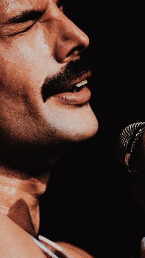 //Freddie Mercury// 🥀Like or reblog if you save🥀 Lynn Goldsmith, Morrison Hotel, Queens Wallpaper, Freddy Mercury, Queen Aesthetic, Queen Photos, Queen Freddie Mercury, Queen Band, Killer Queen