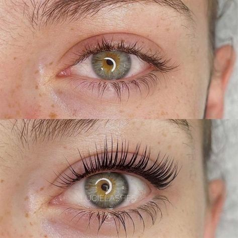 Lift And Tint Eyelashes, Lash Lift Before And After Tint, Eye Lash Lift And Tint Before And After, Last Lift And Tint, Eyelash Tint And Lift, Lash Tint Before And After, Lash Lift And Tint Before And After, Lash Lift Before And After, Lash Lift Aesthetic