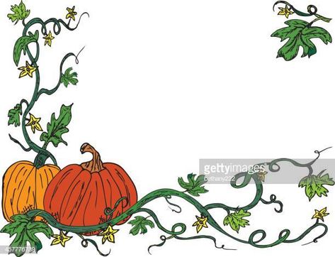 World's Best Pumpkin Vine Stock Illustrations - Getty Images Pumpkin Vine Drawing, Vine Illustration, Creepers Plants, Vine Drawing, Pumpkin Vine, Vine Border, Planting Pumpkins, Pumpkin Illustration, Pumpkin Images