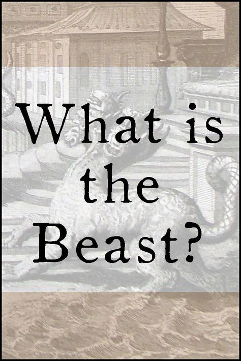 In this weeks post we take a brief look at what or who the beast of Revelation is. Most believe the beast to be Rome in one form or another, but is this correct? Follow along as we dig a little deeper. Beast Of Revelation, Bible Notes, Book Of Revelation, The Beast, Bible Quotes, Bible Study, Rome, Take A, Look At