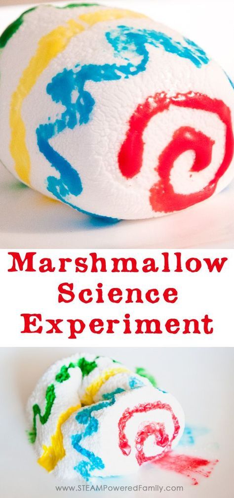 This simple marshmallow science experiment is an engaging STEAM activity for elementary. Learn a little science and a little art, then eat the results! via /steampoweredfam/ Marshmallow Experiment, Steam Elementary Activities, Steam Ideas Elementary, Crafts For Elementary Kids, November Stem Activities Elementary, Marshmallow Science, Marshmallow Activities For Kids, Marshmallow Stem Activities, Science Night Activities Elementary