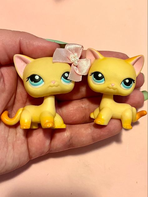 Lps Shorthair, Lps Collection, Lps Popular, Littlest Pet Shop, Lps, Pet Shop, Pet, Toys, Quick Saves