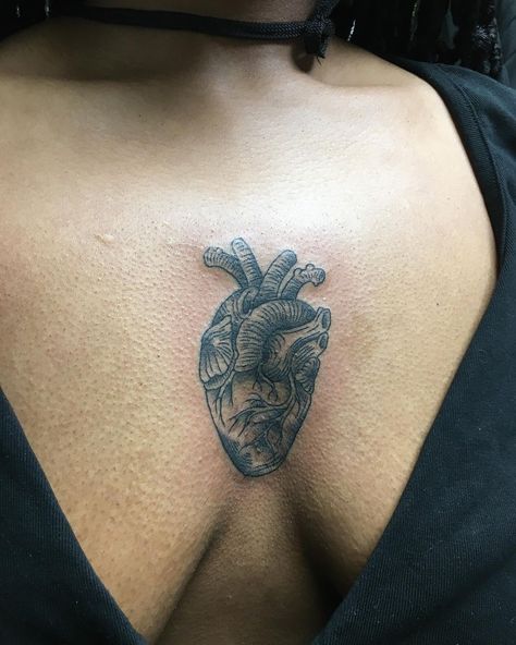 Fresh black work style anatomical heart tattooed by Rebecca Rodriguez.

#12ozstudios #team12oz #tattoo #tattoos #tattooed #tattooing #tattooism #tattooart #tattooartist #tattooer #tattooist #art #artstudio #tattooshop #tattoostudio #ink #inked #blackwork #blackworktattoo #linework #lineworktattoo #heart #hearts #hearttattoo #anatomicalheart #anatomicalheartattoo #womenwithtattoos Biological Heart Tattoo, Anatomical Heart Tattoo Sternum, Anatomical Heart Chest Tattoo, Heart Organ Tattoo, Anatomical Heart Tattoo Color, Human Heart Tattoo, Anatomical Heart Tattoo, R Tattoo, Line Work Tattoo