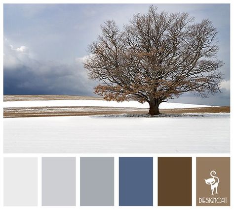 Winter Tree: Ice, Blue, Sky, Slate, Grey, Brown, Sand - Colour Inspiration Pallet: Sand Bathroom, Brown And Blue Living Room, Bathroom Colour, Brown Living Room Decor, Winter Palette, Brown Sand, Pallet House, Brown Color Schemes, Paint Color Schemes