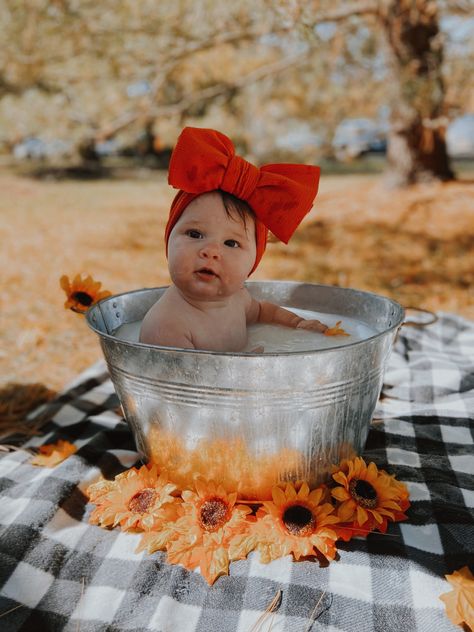 #photography #babygirl #photoshoot #fall #milkbath #beautiful Metal Tub Photoshoot, Fall Photoshoot Babygirl, Newborn Bath Tub, Fall Baby Pictures, Galvanized Tub, Metal Tub, Wash Tubs, Baby Baskets, Baby L