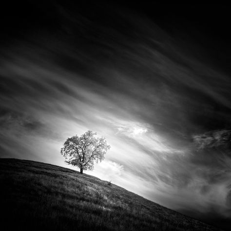 Visible Spectrum, Infrared Photography, Black And White Landscape, Mood And Tone, Surrealism Photography, Fields Photography, Sony Alpha, Photography Projects, Photography Techniques