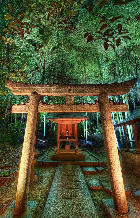 Hidden Temple in Bamboo at Night Hidden Temple, Mont Fuji, Japanese Temple, Bamboo Forest, Bhutan, Kyoto Japan, Zen Garden, Mongolia, Japanese Garden