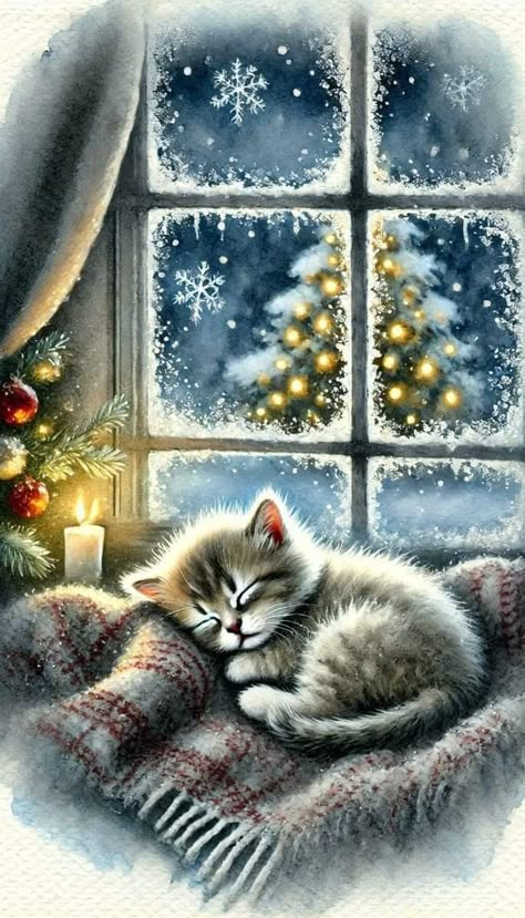 Christmas Kittens Cute, Cat Christmas Pictures, Xmas Scenes, Sleeping Person, Happy Night, Winter Christmas Scenes, Beautiful Winter Scenes, Mistletoe Christmas, Christmas Scenery