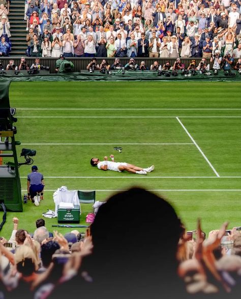 Different Types Of Aesthetics, Tennis Photography, Tennis Pictures, Tennis Aesthetic, Carlos Alcaraz, Wimbledon Tennis, Tennis Life, Tennis Fan, Lawn Tennis