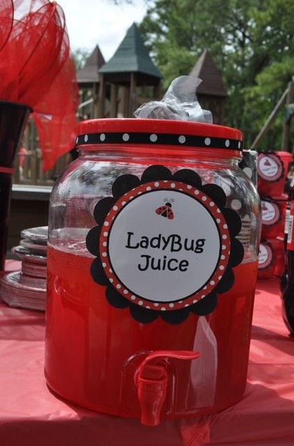 Drinks at a Ladybug Party #ladybug #partydrinks Miraculous Ladybug Themed Birthday Party, Diy Ladybug Decorations, Ladybug First Birthday, Ladybug Picnic, Lila Party, Miraculous Ladybug Party, Search Pinterest, Ladybug Baby Shower, Ladybug Birthday Party