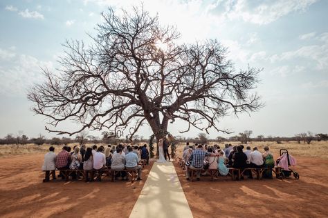 Simply Sophisticated Wedding at Bordeaux Game Farm by Page & Holmes | SouthBound Bride Game Farm Wedding, Bush Wedding South Africa, Lion King Wedding, Bushveld Wedding, African Wedding Theme, Wedding Aisles, Mums Wedding, Bush Wedding, Rural Wedding