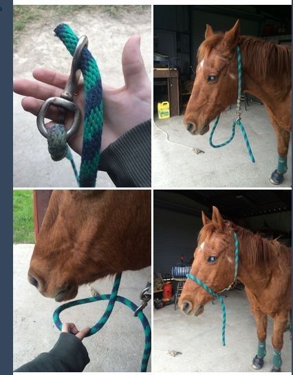 How To Make A Halter Out Of A Lead Rope, Horse Mane Ideas Easy, Diy Lead Rope, Horse Life Hacks, Horse Diy Projects, Fun Things To Do With Your Horse, Horse Hacks Diy Ideas, Diy Horse Stuff, Equestrian Hacks