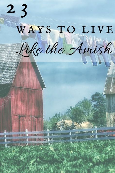 23 Ways To Live Like The Amish: One Ash Homestead Amish Lifestyle, Delivery Food, Homestead Farm, Homesteading Skills, Homestead Living, Simpler Lifestyle, Living Off The Land, Homestead Survival, Amish Country