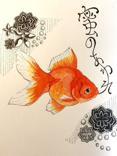 Japanese Goldfish Drawing, Fancy Goldfish Drawing, Gold Fish Sketch, Golden Fish Drawing, Fish Drawing Reference, Gold Fish Drawing, Goldfish Aesthetic, Goldfish Drawing, Goldfish Watercolor