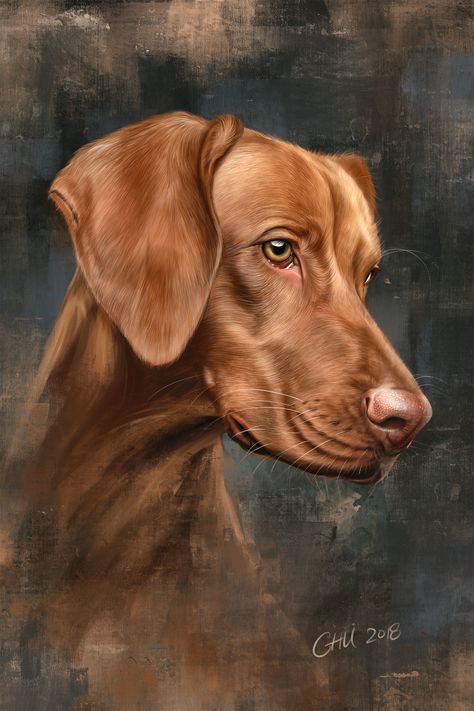 ArtStation - Procreate Dog Portrait, Vincent Chu Procreate Dog, Dog Drawing Tutorial, Animals Jokes, Dog Portraits Art, Ebook Cover Design, Vizsla Dogs, Procreate Ipad Art, Animal Drawing, Ebook Cover