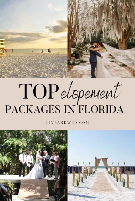 Top elopement packages in Florida Florida Airbnb Wedding, Florida Keys Elopement, Elopement Florida, Miami Elopement, Florida Wedding Venues Beach, Free Wedding Venues, Small Beach Weddings, Gorgeous Landscapes, Art For Walls