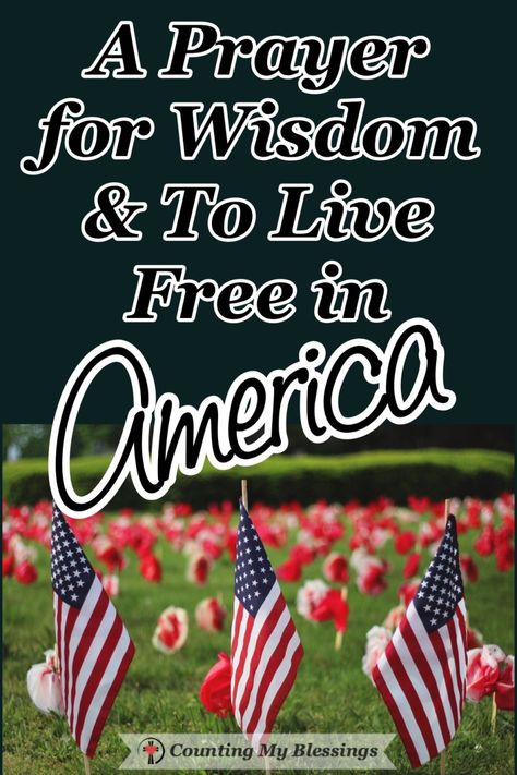 A Prayer For Wisdom & To Live Free In America - Counting My Blessings Psalm 25 5, Prayer For Wisdom, Counting My Blessings, Proverbs 19, Psalm 25, My Blessings, The Blessing, Find Quotes, Live Free