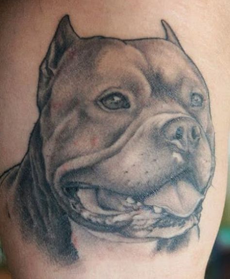 This Beautiful Boy Will Beef U is listed (or ranked) 11 on the list 45 Beautiful Tattoos Inspired by Dogs Bully Tattoo, Tattoo Perro, Tatoo Dog, Dog Portrait Tattoo, Pitbull Tattoo, Pitbull Art, Gangsta Tattoos, Bull Tattoos, Shoulder Tattoos