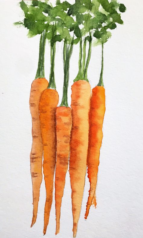 Carrots in watercolor. FranL Carrot Watercolor Painting, Vegetable Drawing Simple, Carrot Picture, Carrots Drawing, Watercolor Fruit Paintings, Carrots Watercolor, Painted Carrots, Carrot Painting, Easter Drawing Ideas