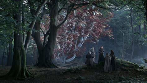 Game of Thrones Cinematography Game Of Thrones Screencaps, A Clash Of Kings, Game Of Thrones Costumes, Game Of Thrones Cast, Robb Stark, A Dance With Dragons, Night King, A Song Of Ice And Fire, Winter Is Coming