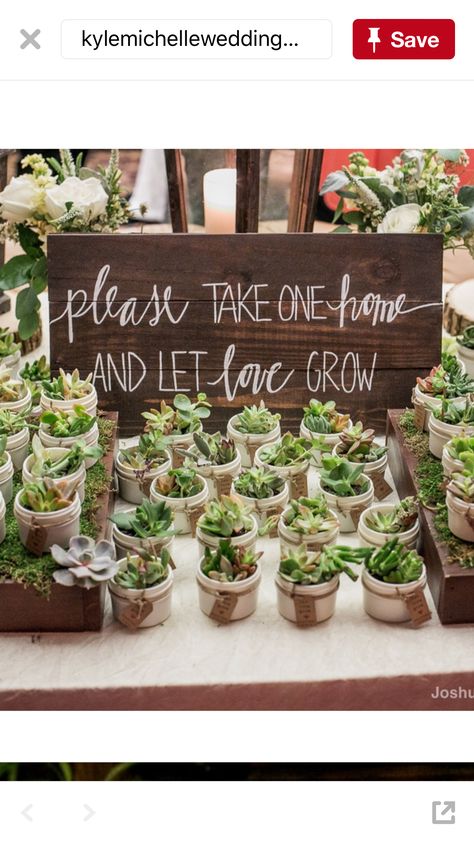 Greenery Bridal Shower Ideas, Let Love Grow, Wedding Favors And Gifts, Succulent Wedding, Wedding Anniversary Party, Future Wedding Plans, Cute Wedding Ideas, 50th Wedding Anniversary, 50th Wedding