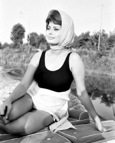 Sophia Loren - Sophia Loren Photo (9067196) - Fanpop Scarf Aesthetic, Sofia Loren, Silk Headscarf, Head Scarf Styles, Italian Actress, Sophia Loren, Beauty Queens, Up Girl, Hollywood Stars