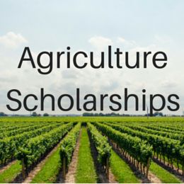 Scholarships for students studying Agriculture, Horticulture, Forestry, and other related majors. Agriculture Scholarships, College Counseling, School Scholarship, Types Of Education, Financial Aid For College, College Scholarships, Agriculture Education, Sigma Alpha, Online Student