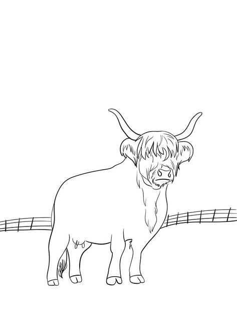 Highland Cow Outline, Highland Cow Drawing, Cow Outline, Cow Drawing, Artsy Ideas, Outline Drawing, Highland Cow, Moose Art, Digital Drawing