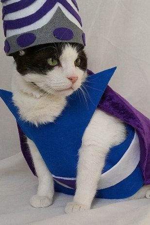 You could throwback to your childhood with an adorable Mojo Jojo costume. | 25 Seriously Adorable Halloween Costume Ideas For Your Cat Mojo Jojo Costume, 2015 Halloween Costumes, Pet Costumes Cat, Mojo Jojo, Cat Cosplay, Scary Cat, Cat Pajamas, Cat Model, Halloween 2015