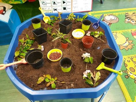 Superworm Tuff Tray Ideas, Plant Tuff Tray, Plants Nursery Ideas, Planting Tuff Tray, Growing Tuff Tray Ideas, Gardening Tuff Tray Ideas, Planting And Growing Eyfs Activities, Garden Tuff Tray Ideas, Farm Tuff Tray Ideas