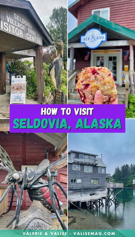 Homer Alaska, The Perfect Day, Perfect Day, Day Trip, Alaska