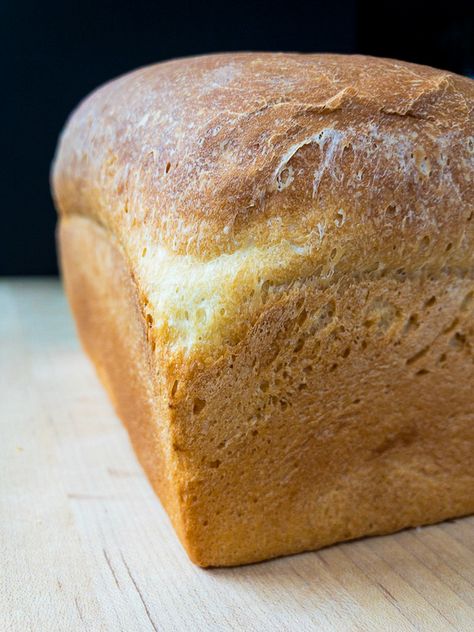 A delicious Single Rise White Bread recipe that makes two loaves of quick, easy, slightly sweet, white bread and only requires a single rise. Perfect for sandwiches or simply slathered with butter. #bread #singlerisebread #homemadebread #onerisebread | #thegeneticchef Sweet White Bread, High Altitude Bread Recipe, White Bread Recipe, Oatmeal Bread, Sandwich Bread Recipes, Homemade Dinner Rolls, Food Substitutions, Quick Bread Recipes, Bakery Bread