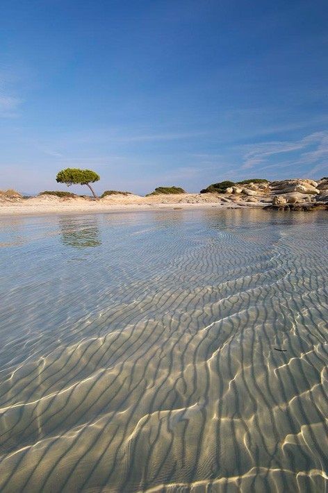 Karidi Beach, Vourvourou, Sithonia, Halkidiki, Greece Greece Travel, Pretty Places, Places Around The World, Serbia, Wonderful Places, Vacation Spots, Dream Vacations, The Other Side, Beautiful Beaches