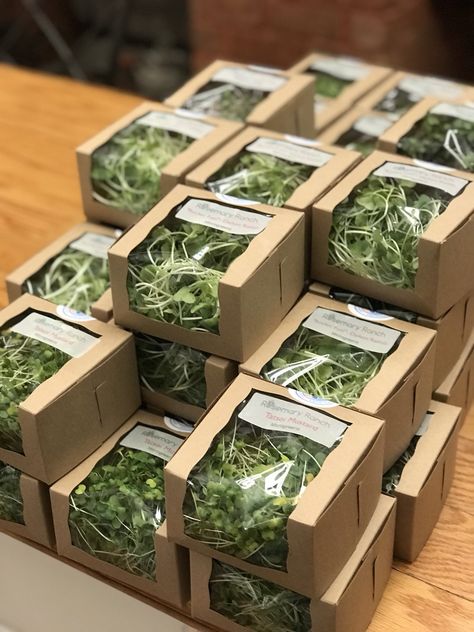 Rosemary Ranch on Twitter: "Microgreens in our new environmentally friendly packaging. Head out to @ChesBounty, North Beach on their Grand Reopening! https://t.co/Z2j5rWj3kd" / Twitter Indoor Herb Garden Display, Produce Package Design, Micro Greens Packaging, Plant Packaging Ideas, Microgreens Packaging Ideas, Farmers Market Ideas To Sell, Microgreen Packaging, Selling Microgreens, Microgreens Packaging